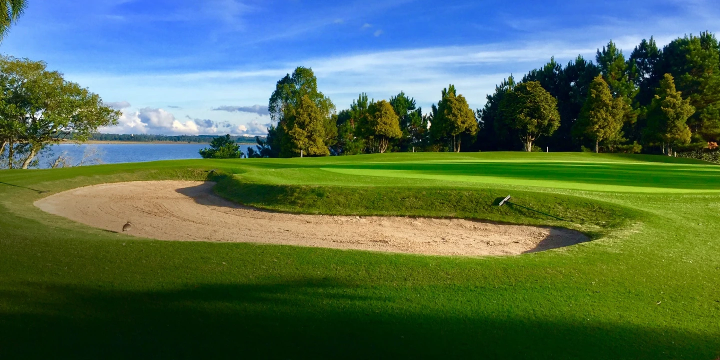 The Hales Report Background